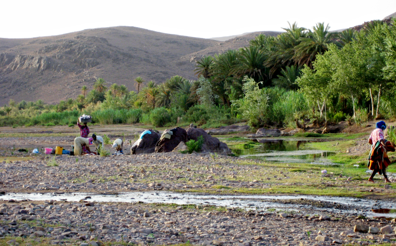 A view of Oasis Fint, near Ouarzazate, Morocco (Wikimedia Commons/Vysotsky)