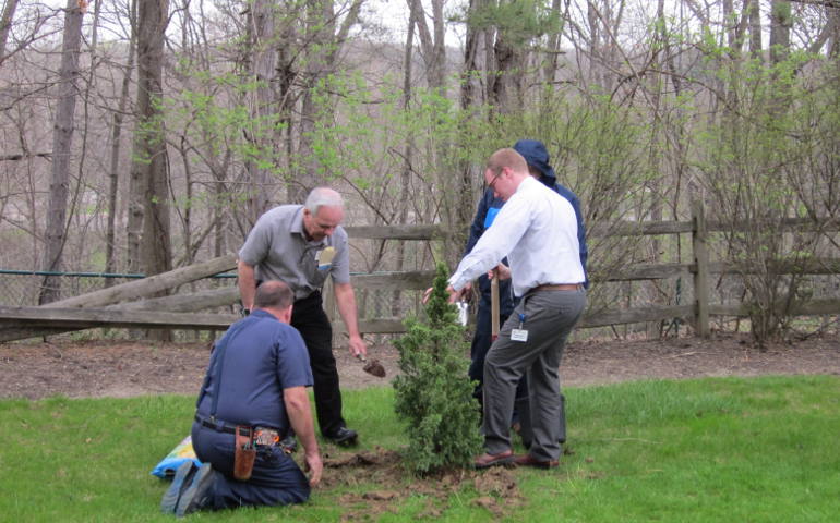 Staff at Light of Hearts Villa, in Bedford, Ohio, plant a new juniper tree April 21 as part of an Earth Day prayer service at the Sisters of Charity-run living center. (Light of Hearts Villa)