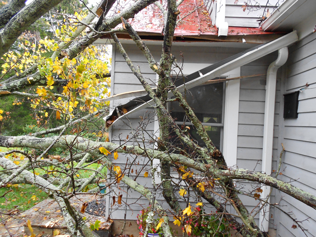 A tree knocked down a gutter at the home of Arthur and Margie Jones. (Margie Jones)