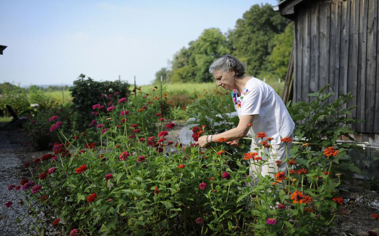 JoAnn Gates, a co-member of the Sisters of Loretto of in Marion County, Ky., trims flowers on the congregation’s property Aug. 30. (CNS/Patrick Murphy-Racey)