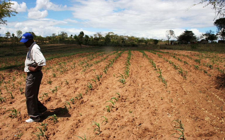 A Catholic Relief Services worker at a CRS-sponsored farming development project in Kenya Chris Herlinger)