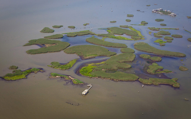 Oil from the Deepwater Horizon spill surrounds marshland south of Venice, La., June 19, 2010. (CNS/Reuters/Lee Celano)