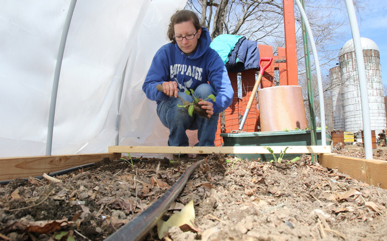 St. Joseph Sr. Heather Ganz plants spinach April 1 in an organic garden on the grounds of her religious community's motherhouse in Brentwood, N.Y. (CNS/Gregory A. Shemitz)