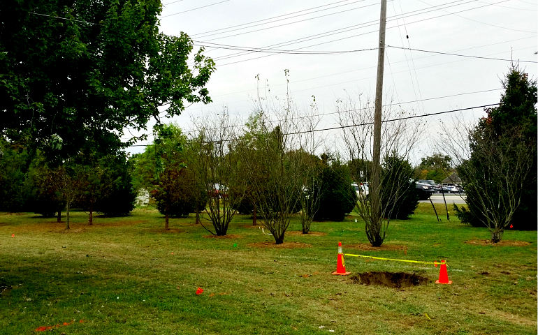 A new "green wall" is seen in the area between Shelbyville Road and St. Margaret Mary School in Louisville, Ky.. (Courtesy of Dr. Aruni Bhatnagar)