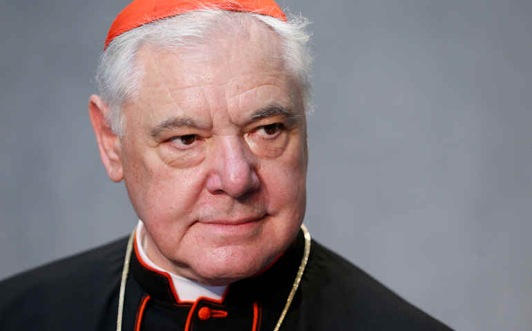 Cardinal Gerhard Müller (CNS/Paul Haring) 