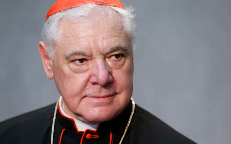 Cardinal Gerhard Müller (CNS/Paul Haring)