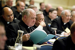 A bishop reviews documents Nov. 14 during the U.S. bishops' annual fall meeting in Baltimore. (CNS photo/Nancy Phelan Wiechec)