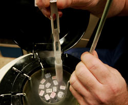 An embryologist removes frozen embryos from a storage tank in this 2007 file photo. (CNS)
