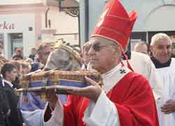 Cardinal Miloslav Vlk (CNS)