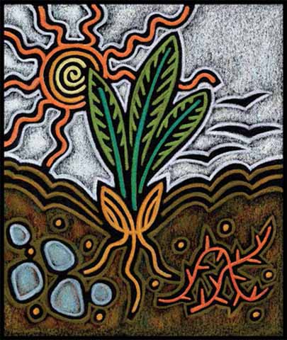 Illustration by Julie Lonneman