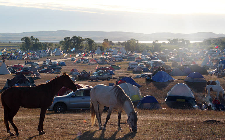 Horses graze early on the morning of Sept. 14, 2016, at the Oceti Sakowin camp near the Standing Rock Reservation in North Dakota, where thousands of people are camped in solidarity with the Standing Rock Sioux Tribe in opposition to the Dakota Access pipeline project. (RNS photo/Emily McFarlan Miller)