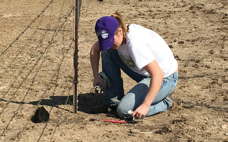 Emma Joyce, a junior at Maur Hill-Mount Academy in Atchison, Kansas, and a parishioner of St. Benedict Church in Bendena, Kansas, helps repair a fence line March 22 at a fire-damaged ranch near Ashland, Kansas. (CNS photo/courtesy Amy Joyce)