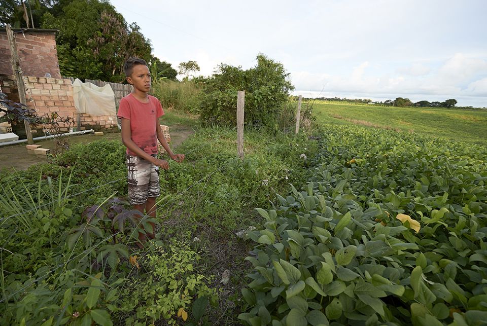 Rostan Gustavo Oliveira do Santos, 14, stands at a fence separating his family's home from fields of soybeans that have taken over community land outside Santarem, Brazil, in 2019. (CNS/Paul Jeffrey)