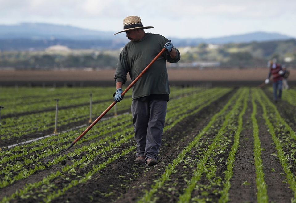 Migrant worker Cesar Lopez, 33, cleans the fields near Salinas, California, March 30, 2020. (CNS/Reuters/Shannon Stapleton) Migrant worker Cesar Lopez, 33, cleans the fields near Salinas, California, March 30, 2020. (CNS/Reuters/Shannon Stapleton)