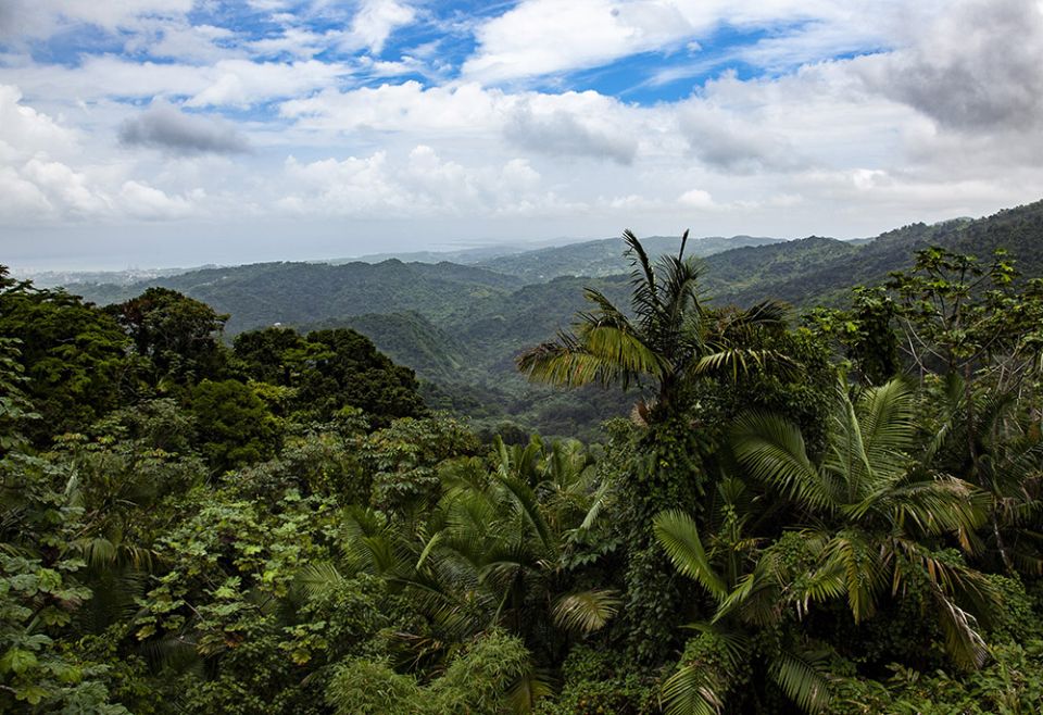 Puerto Rico's El Yunque National Forest is seen in this 2012 file photo. (CNS/Octavio Duran) Puerto Rico's El Yunque National Forest is seen in this 2012 file photo. (CNS/Octavio Duran)