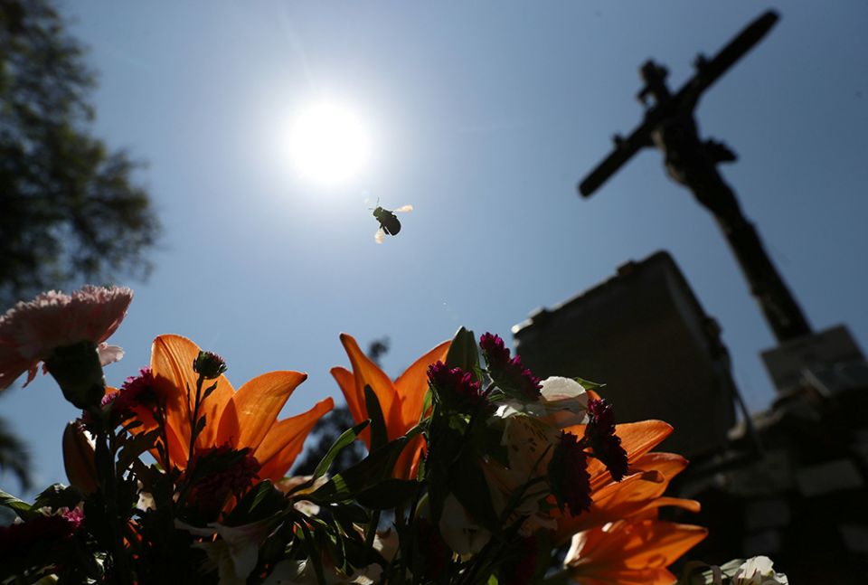 A bee hovers over flowers in front of a crucifix at a cemetery in Santiago, Chile, Feb. 18, 2021. (CNS/Reuters/Ivan Alvarado)