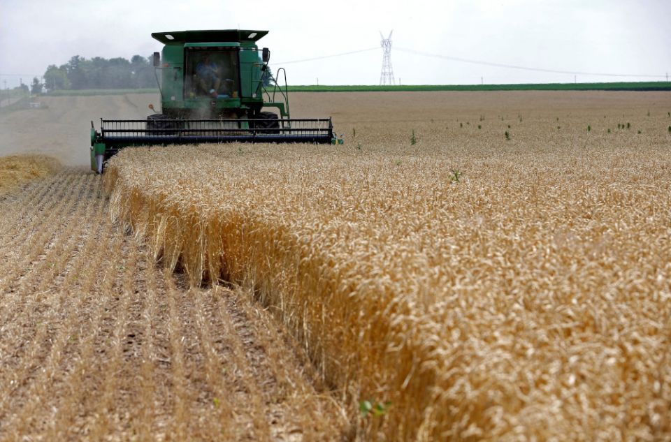 A combine harvests red winter wheat in Dixon, Ill., July 16, 2013. (CNS/Reuters//Jim Young)