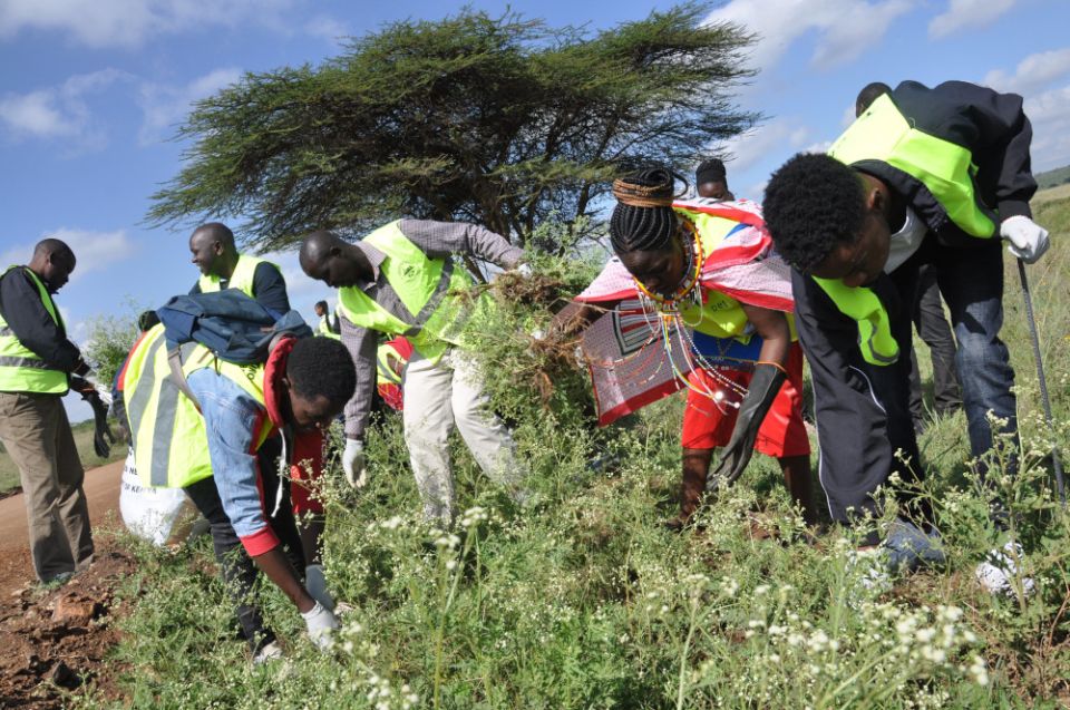 Members of the Laudato Si' Movement and others pull out weeds at the Nairobi National Park in Kenya June 4, 2022, as part of World Environment Day cleanup. (CNS/Fredrick Nzwili)