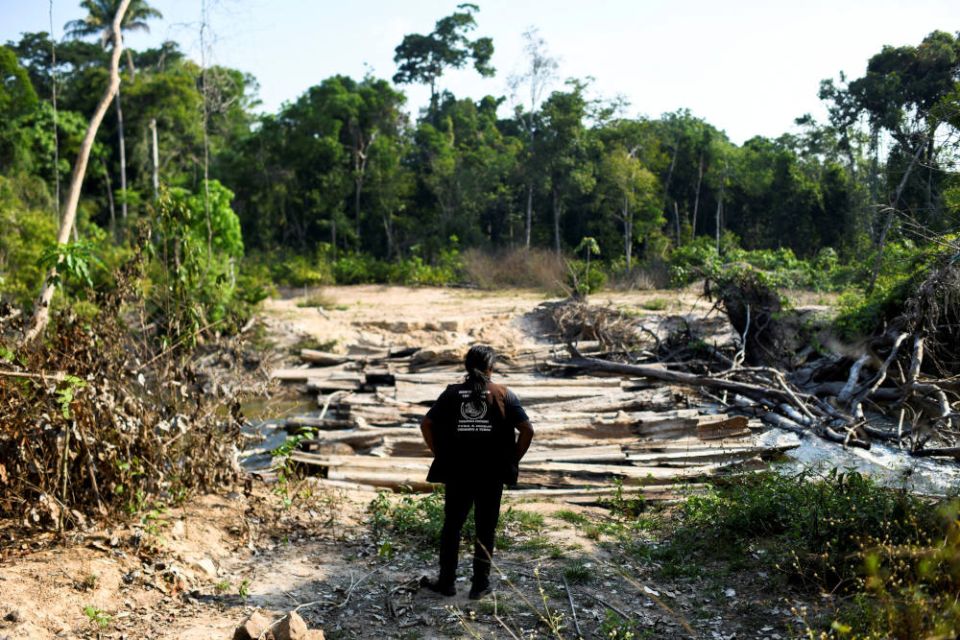 Pahnin Mekragnotire of the Kayapo tribe observes logs left by loggers during a surveillance patrol on the Menkragnoti Indigenous Land to defend the territory against attacks by loggers and miners, in Brazil's Para state. (CNS photo/Lucas Landau, Reuters)