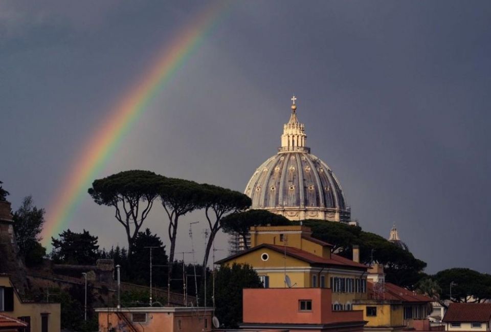 More than 300,000 umbrella pine trees dot Rome's streets and skyline. The Vatican is home to some 150 umbrella pine trees. (Courtesy of Mary Shovlain)