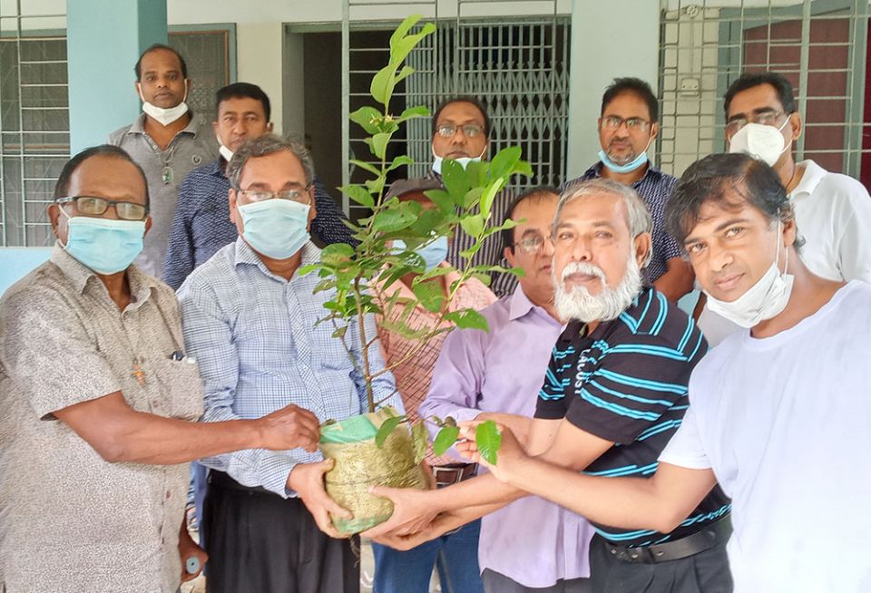 Lay leaders distribute trees in Savar, in the Dhaka district of Bangladesh. (Sumon Corraya) Lay leaders distribute trees in Savar, in the Dhaka district of Bangladesh. (Sumon Corraya)