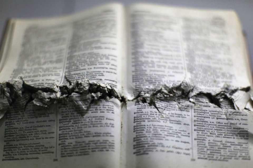 Dictionary Dictionary