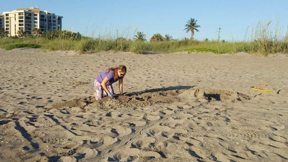 Carly Batts, a field technician with Ecological Associates, checks and marks a loggerhead sea turtle on Hutchison Island, Florida near Fort Pierce. All EA's turtle research and monitoring is done with under special permits from the Florida Wildlife Conse