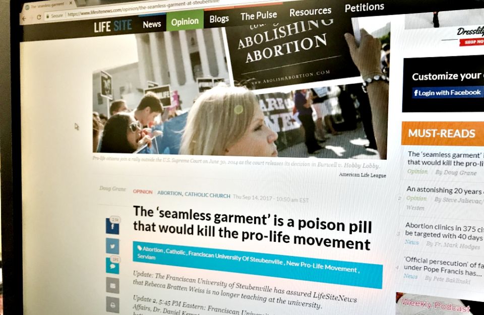 Doug Grane's article is seen on the LifeSiteNews website. (NCR photo)
