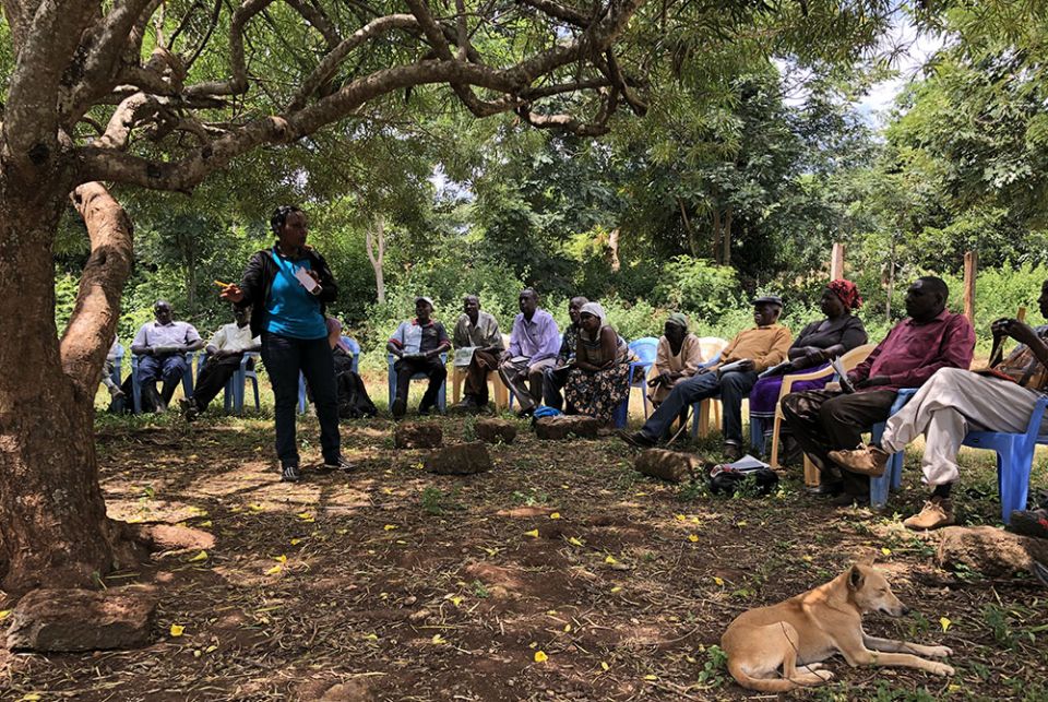 Farmers who are part of the TIST program in Kenya take part in a cluster meeting, where small groups of farmers receive news, training and payments related to the tree-planting program. (The TIST Program)