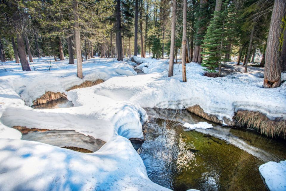 Snow runoff near the California Department of Water Resources snow survey site at Phillips Station in the Sierra Nevada Mountains on Feb. 27, 2020. (Jonathan Wong/California Department of Water Resources)