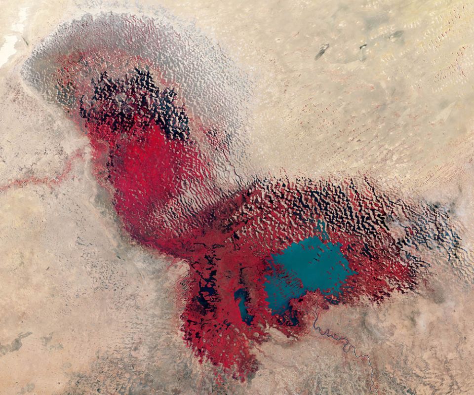 Lake Chad in 2017: The lake has shrunk by about 90% since the 1970s, and the loss of the important body of water has led to conflict in the region. (NASA)