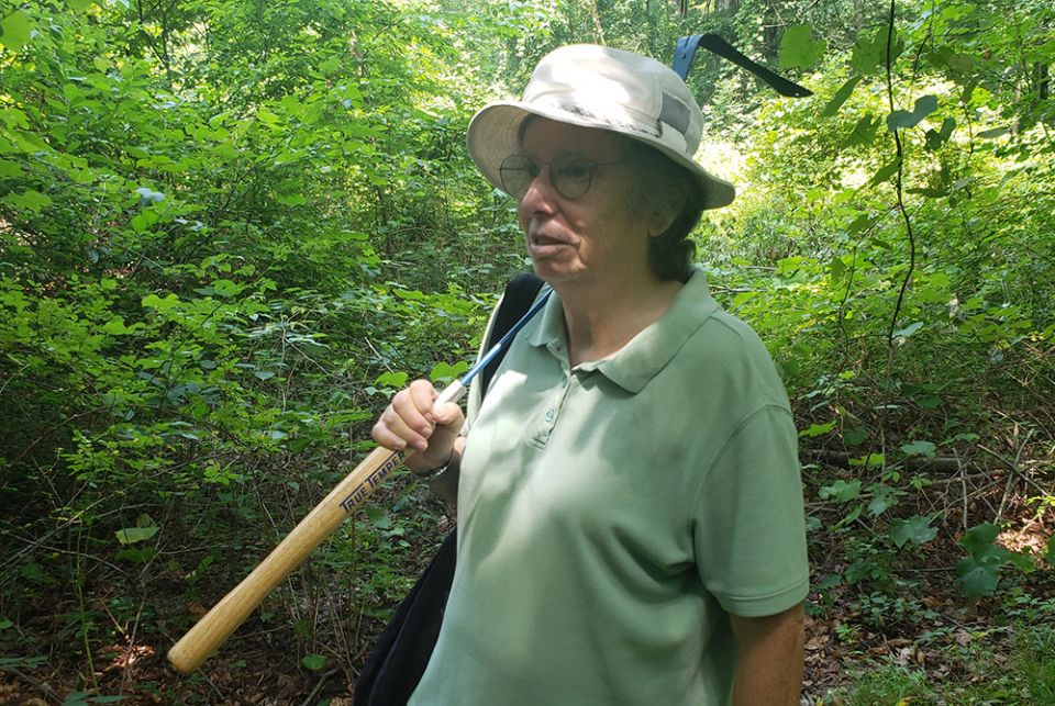 Maryknoll Sr. Doreen Longres looks over part of her community's conservation easement in Ossining, New York. (EarthBeat photo/Chris Herlinger)