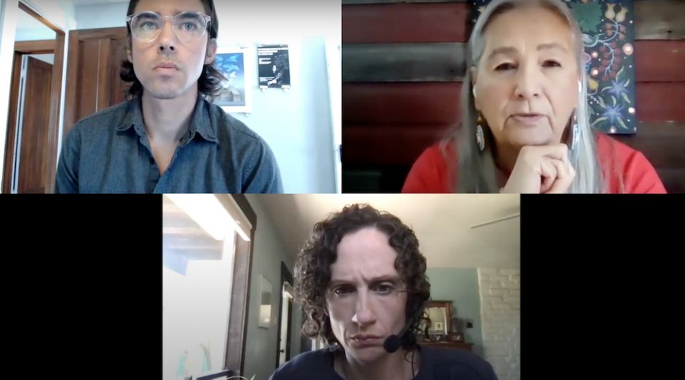 Jack Downey, top left, Denise Lajimodiere, top right, and Kathleen Holscher, bottom, at the Feb. 25 Fordham University webinar on "Native American Communities and the Clerical Abuse Crisis" (NCR screenshot)