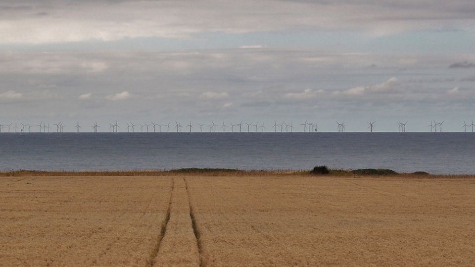 An offshore wind farm in the North Sea (Wikimedia Commons/johnkell)