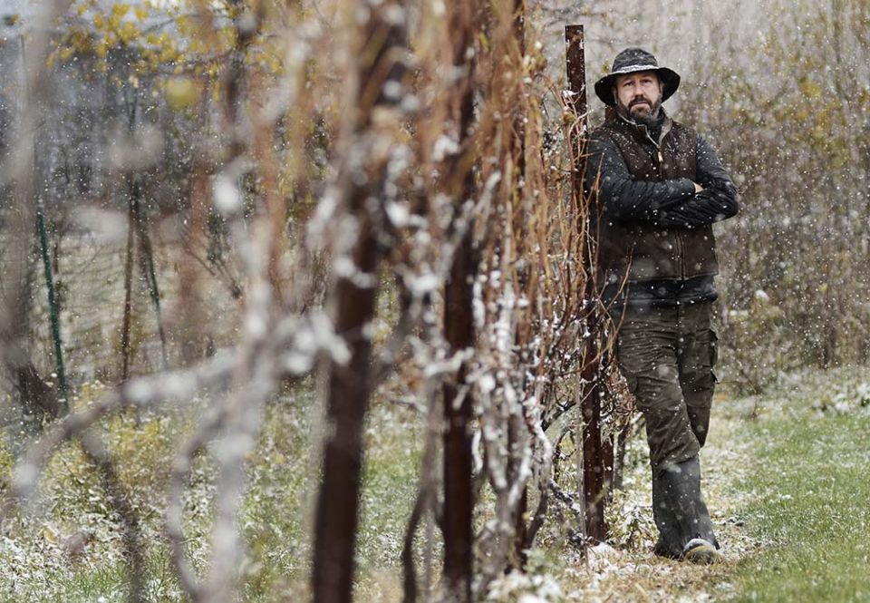 "We had our best year in 2019, ever. And then the pandemic struck," said Will Ouweleen, vintner in Conesus, New York, at O-Neh-Da Vineyard, which had produced sacramental wine for 150 years. (Courtesy of O-Neh-Da Vineyard)