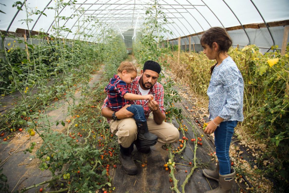 Samer Saleh with his children in a greenhouse at Halal Pastures Farm in Rock Tavern, New York. (RNS/Courtesy Halal Pastures)