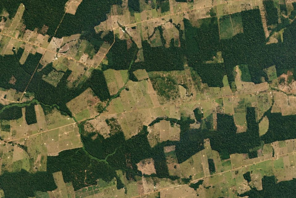 A 2016 satellite photo shows farms and pastureland carving their way into the tropical forest in the western Brazilian state of Rondônia. The state is one of the Amazon’s most deforested regions. (Wikimedia Commons/Planet Labs Inc.)