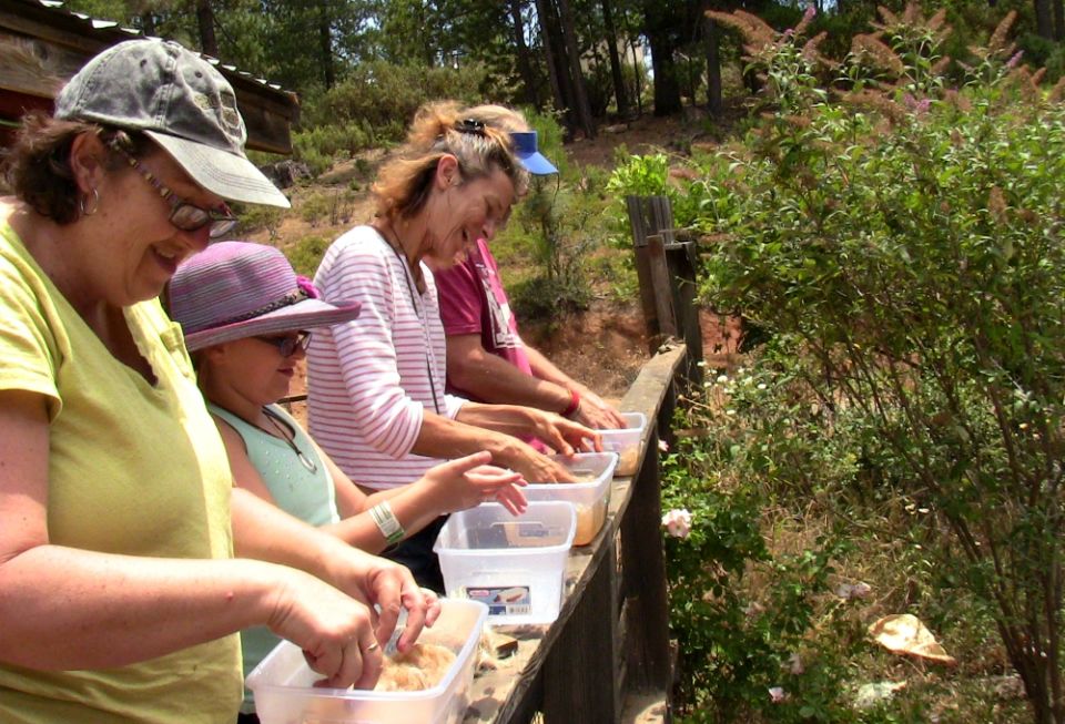 At Earth Abides Catholic Worker Farm in Sheep Ranch, California, Mara Rosenhart teaches adults and children to dye alpaca wool at a Farm-To-Fiber craft workshop retreat in 2015. (Courtesy of Trinity Nuclear Abolition/Marc Page-Collonge) At Earth Abides Catholic Worker Farm in Sheep Ranch, California, Mara Rosenhart teaches adults and children to dye alpaca wool at a Farm-To-Fiber craft workshop retreat in 2015. (Courtesy of Trinity Nuclear Abolition/Marc Page-Collonge)