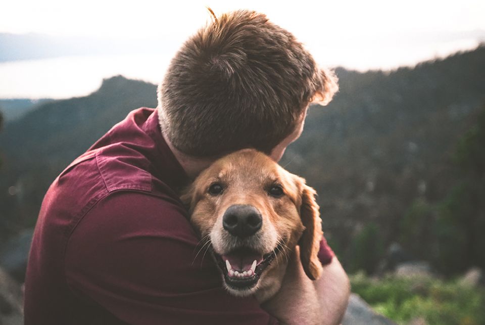 Photo illustration of man hugging a dog (Unsplash/Eric Ward)