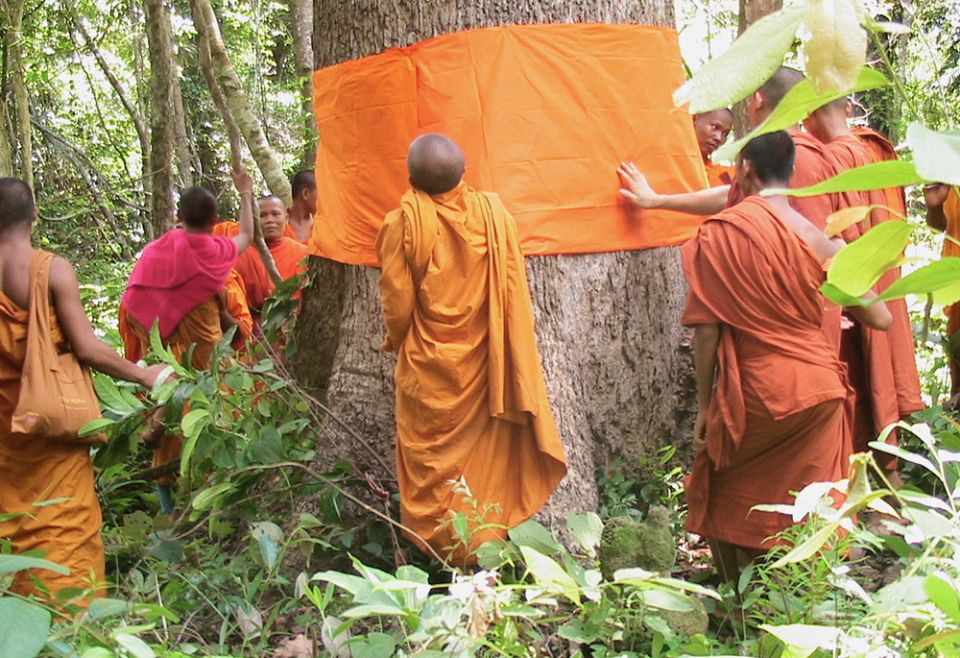 Buddhist monks in Cambodia 'ordain’ a tree, part of an award-winning conservation program to protect a community forest. (Courtesy of FaithInvest)