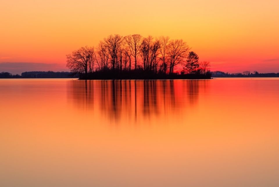 Lent is not about giving up our adult candy or immersing ourselves in pain. Lent is about being honest with ourselves, changing what needs to change in our lives, making our world a better place and growing into the Light. (Unsplash/Dave Hoefler) Bare trees seen in the distance grouped on an island