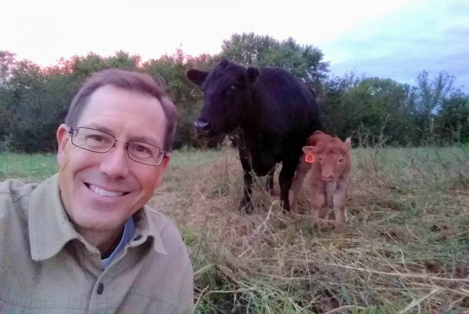 Matt Russell with a newborn calf and its mother on his farm (Provided photo)