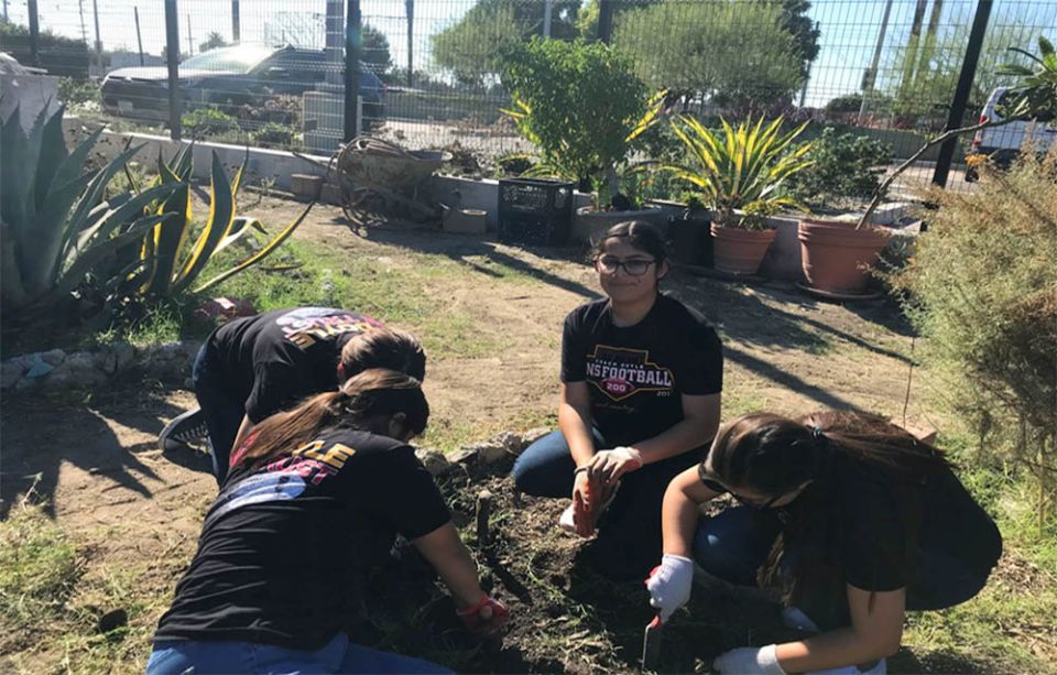 The creation care ministry of the San Diego Diocese has led a number of environmental initiatives, including tree plantings at parishes and schools, inspired by Pope Francis' encyclical, "Laduato Si', on Care for Our Common Home."
