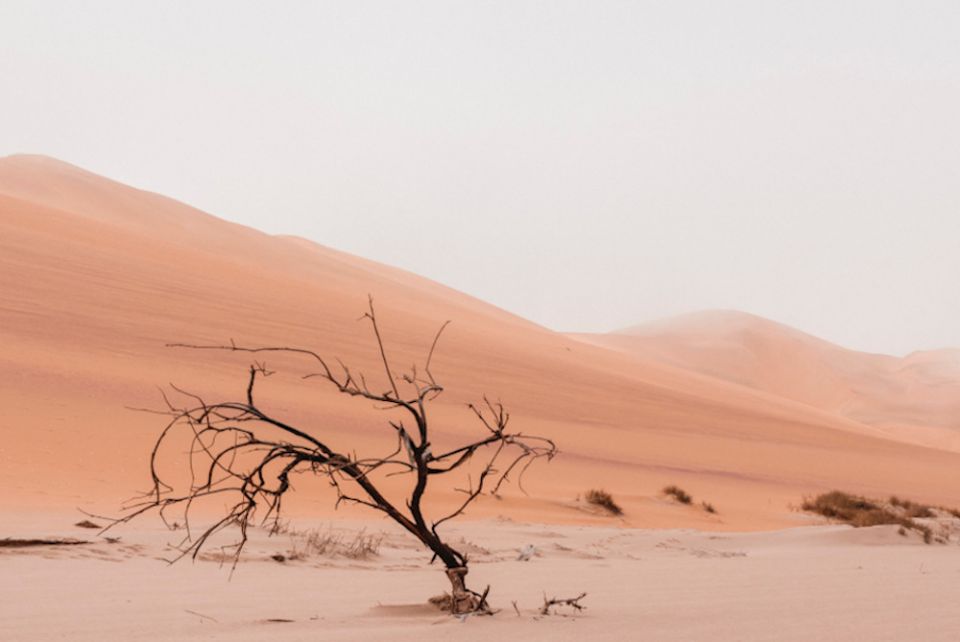 "In this new wasteland, I came to know myself more deeply." (Unsplash/Ryan Cheng)