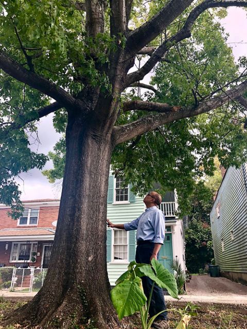 Jeffery Robinson at the "Hanging Tree" on Ashley Avenue in Charleston, South Carolina (Courtesy of Sony Pictures Classics/Jesse Wakeman)