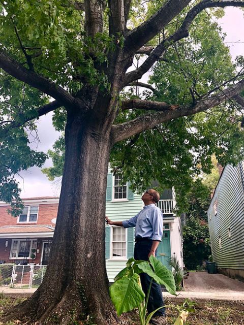 Jeffery Robinson at the "Hanging Tree" on Ashley Avenue in Charleston, South Carolina (Courtesy of Sony Pictures Classics/Jesse Wakeman) Jeffery Robinson at the "Hanging Tree" on Ashley Avenue in Charleston, South Carolina (Courtesy of Sony Pictures Classics/Jesse Wakeman)