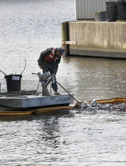A worker collects trash in a containment along Baltimore's Inner Harbor June 11, 2019. (CNS/Bob Roller)