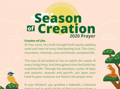 This prayer for the 2020 Season of Creation Sept. 1-Oct. 4 asks God's help in making people aware that, just as people and animals need rest, so does the Earth. The theme for the ecumenical celebration is "Jubilee for the Earth: New Rhythms, New Hope." (C