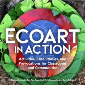 Book cover of "Ecoart in Action"