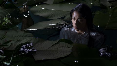 Head and shoulders of young dark-haired woman emerging from a lily pond at night